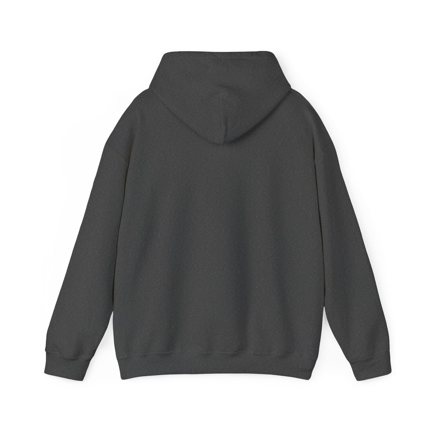 Brave Lion Hooded Sweatshirt