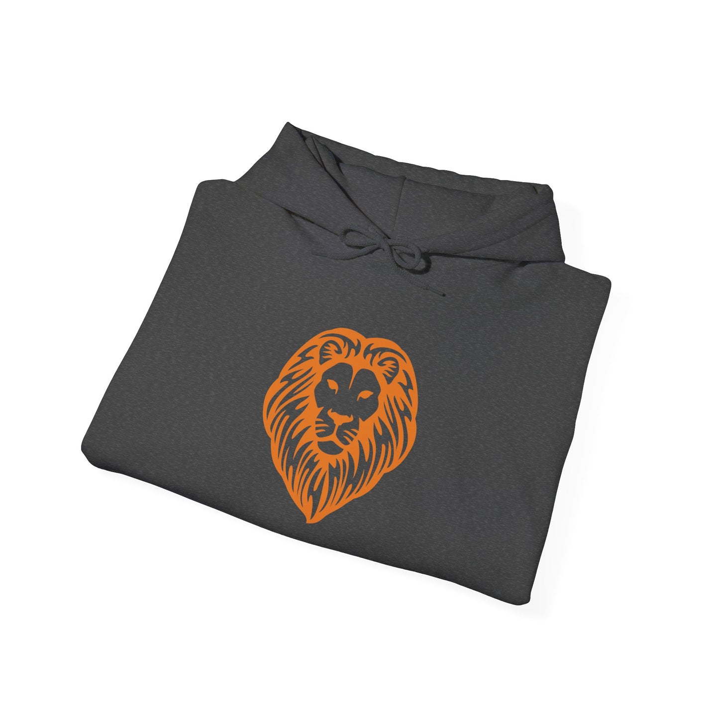 Brave Lion Hooded Sweatshirt
