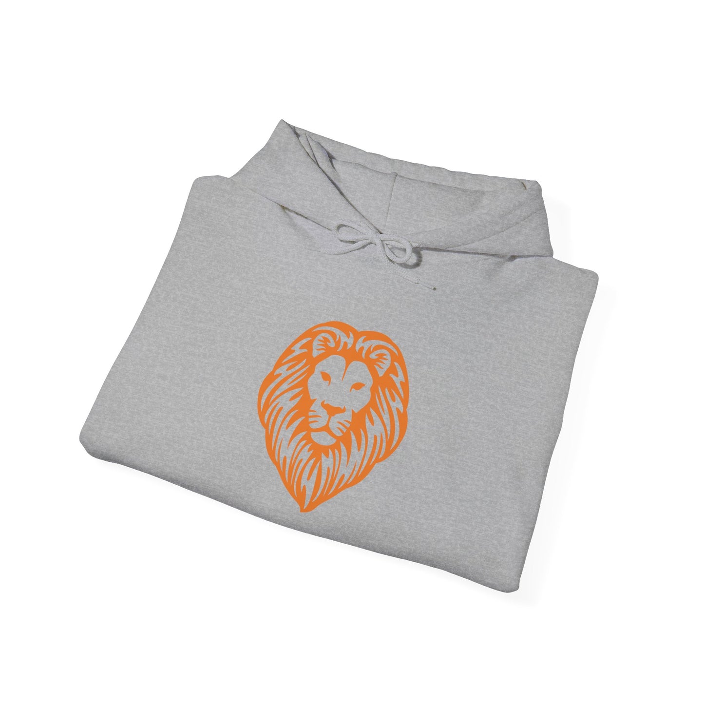 Brave Lion Hooded Sweatshirt