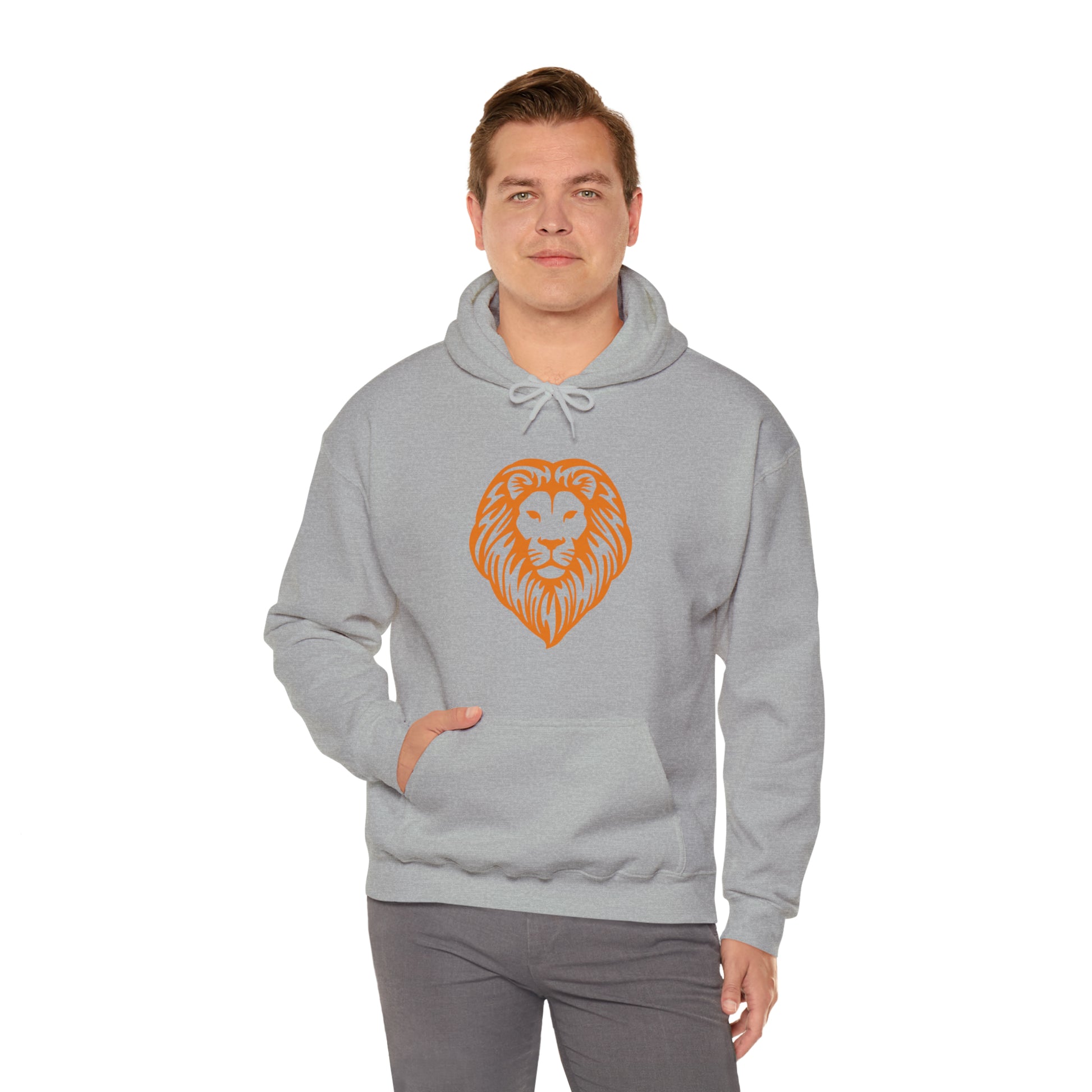 Brave Lion Hooded Sweatshirt - Friends of the Faith